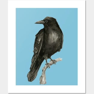 Raven drawing in washed ink Posters and Art